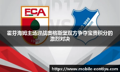 霍芬海姆主场迎战奥格斯堡双方争夺宝贵积分的激烈对决